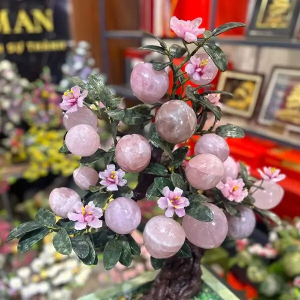 Cây đào Trường thọ Thạch anh Hồng 18 quả to
